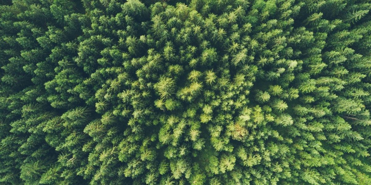 Green credentials: How we're working differently