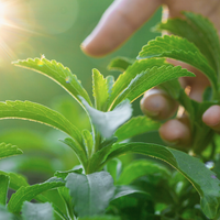 Stevia sweetener: What it is, how we use it & stevia-free options