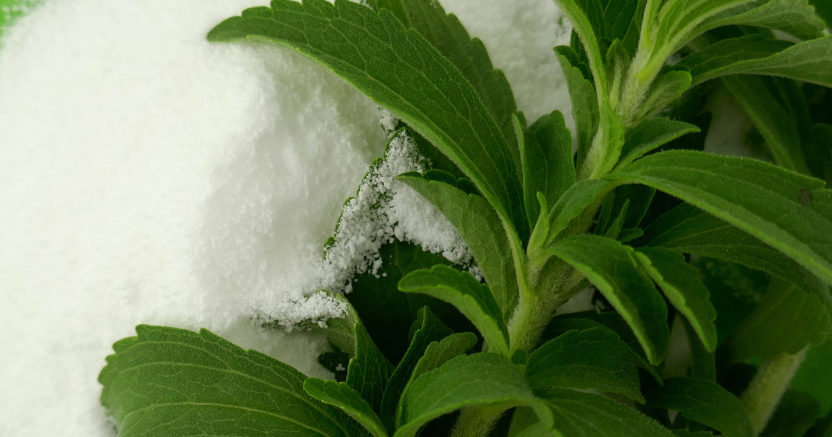Stevia sweetener: What it is, how we use it & stevia-free options